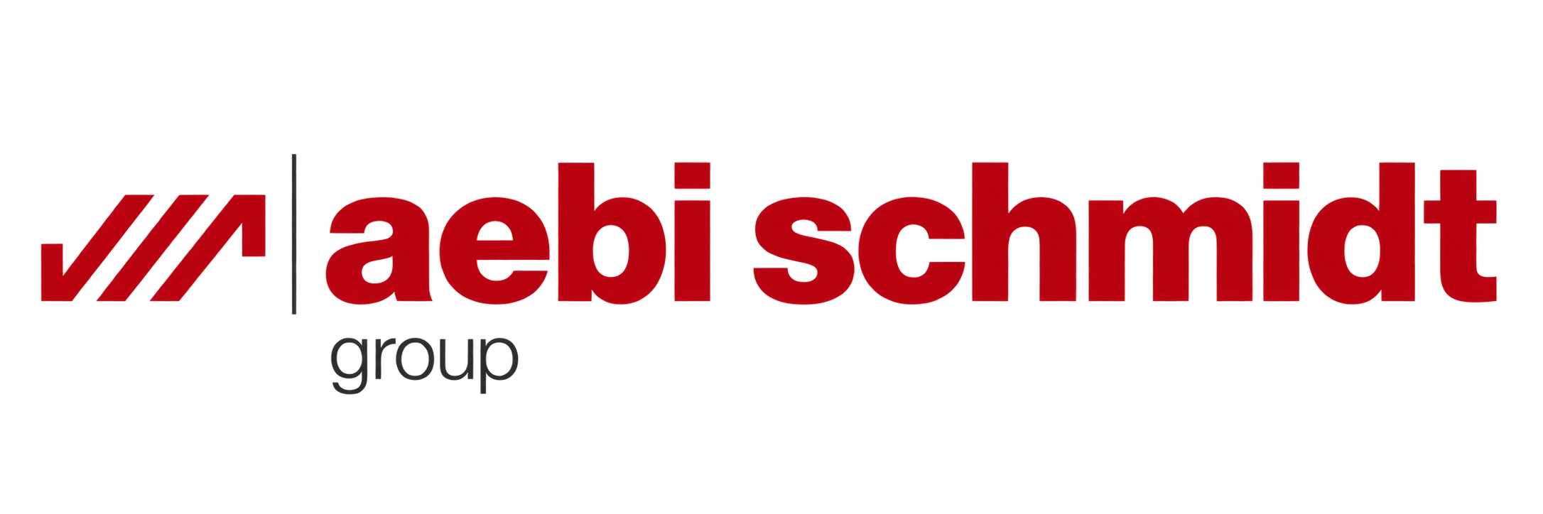 Aebi Schmidt